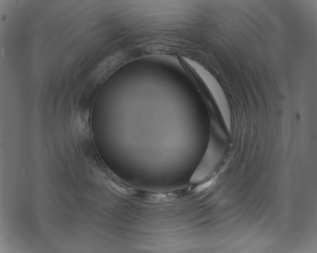 X0000073710239200608171146