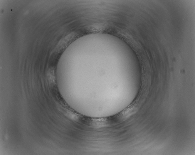 X0000073710240200608171146