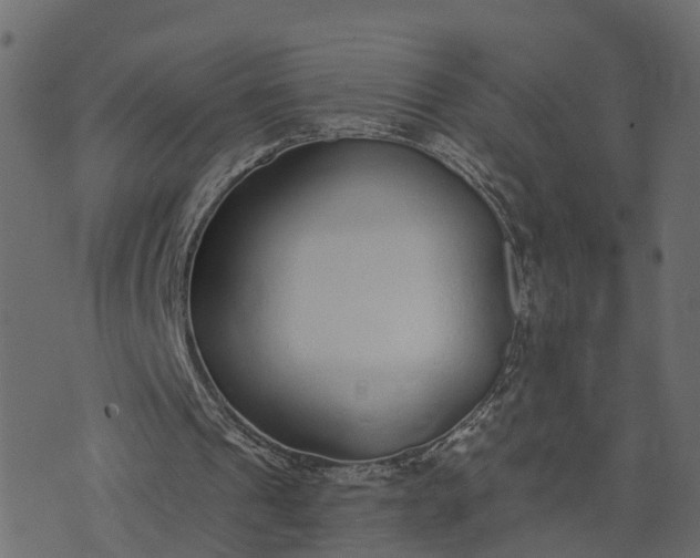 X0000073710241200608171145