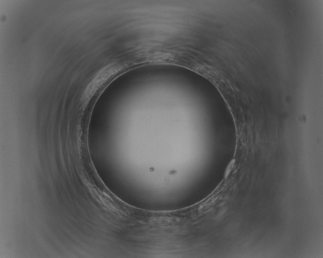 X0000073710242200608171145