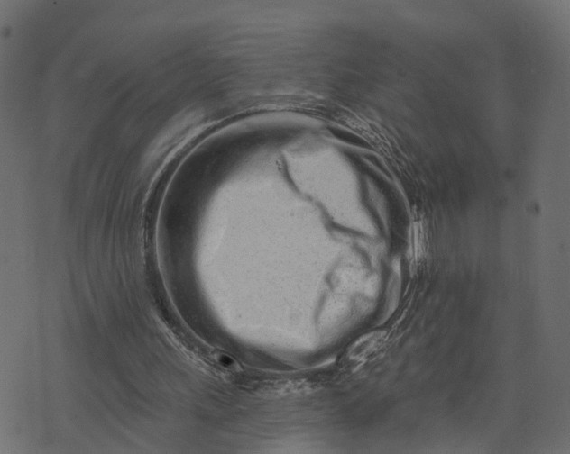 X0000073710243200608171145