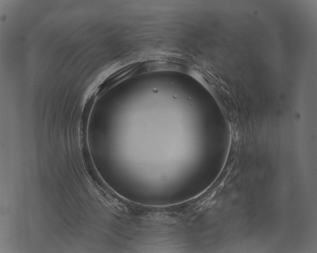 X0000073710244200608171145