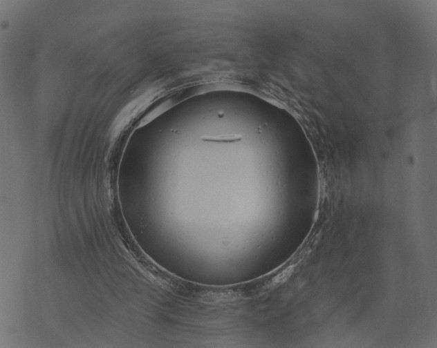 X0000073710245200608171145