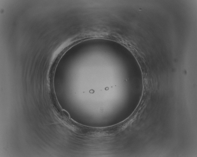 X0000073710246200608171145