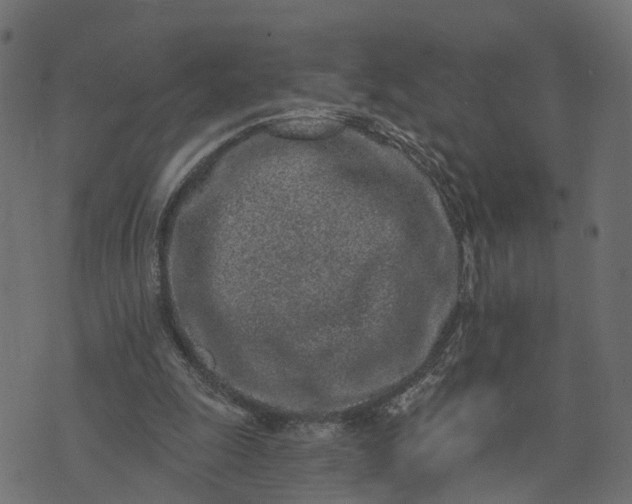 X0000073710247200608171145