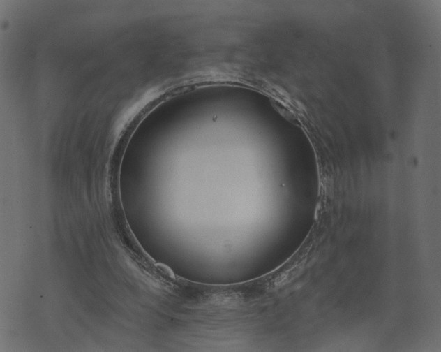 X0000073710248200608171145