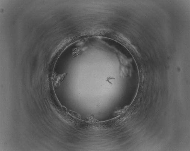 X0000073710250200608171145