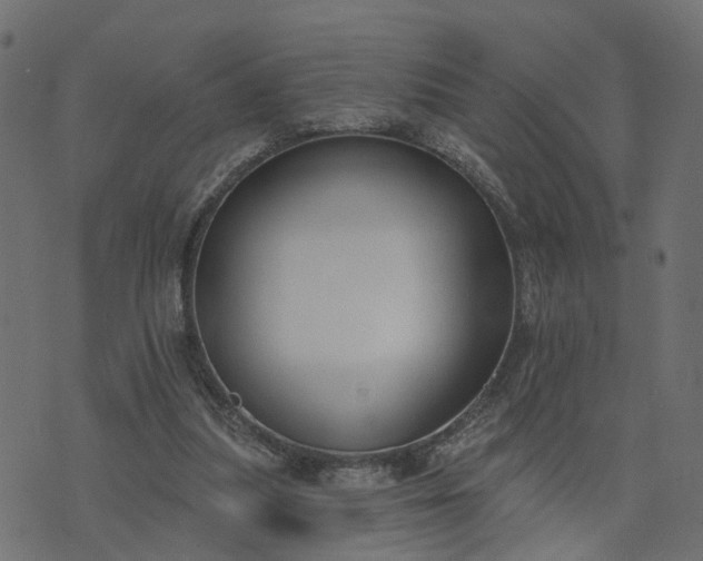 X0000073710251200608171145