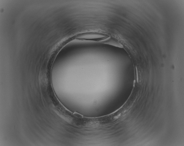 X0000073710252200608171145