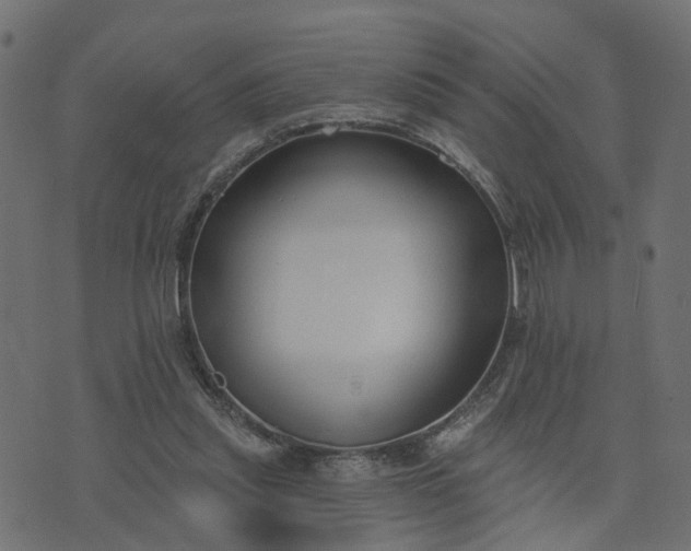 X0000073710253200608171145