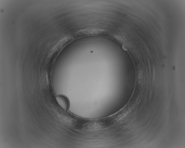 X0000073710254200608171145