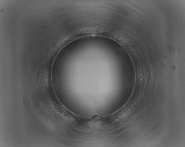 X0000073710255200608171145