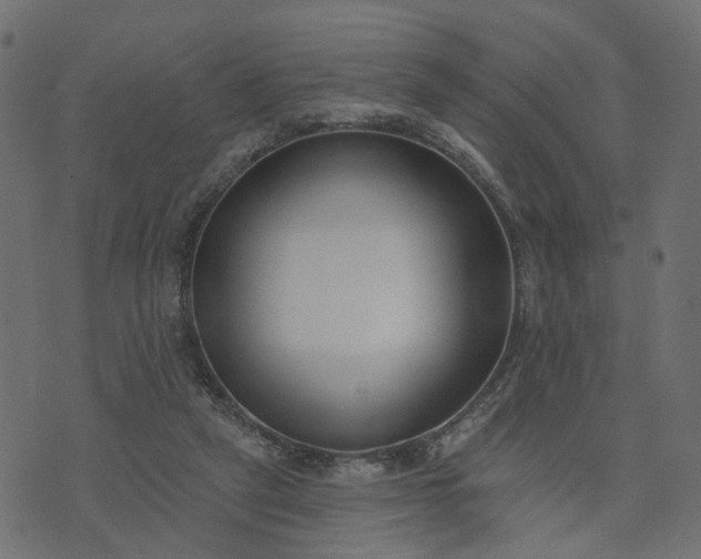 X0000073710257200608171145