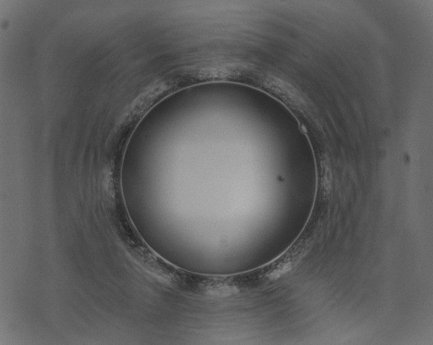 X0000073710258200608171145