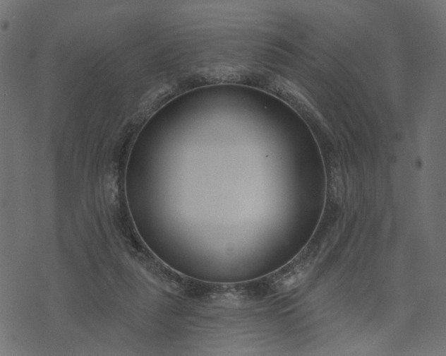 X0000073710259200608171145