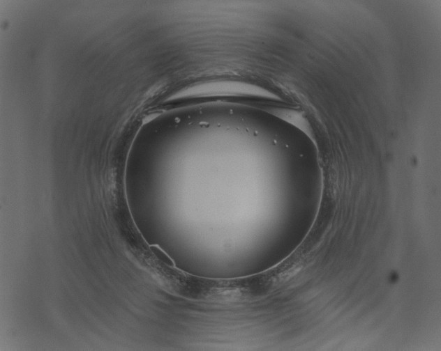 X0000073710260200608171145