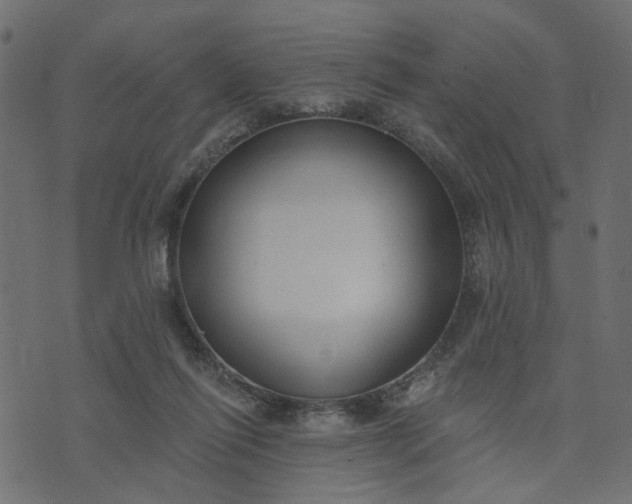 X0000073710262200608171145