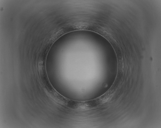 X0000073710263200608171145