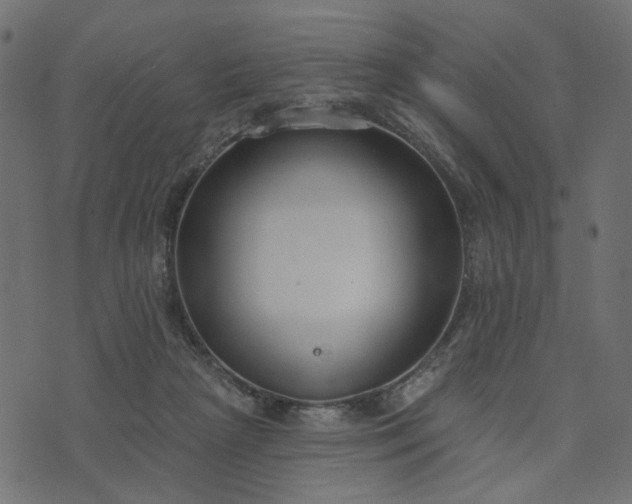 X0000073710265200608171145