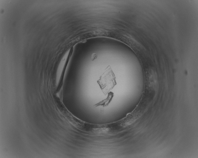 X0000073710266200608171145