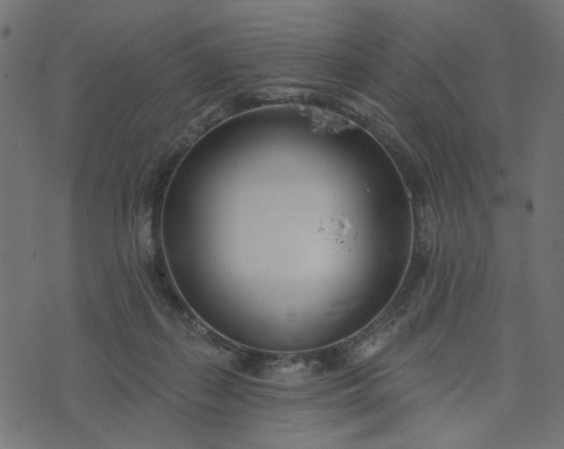 X0000073710267200608171145