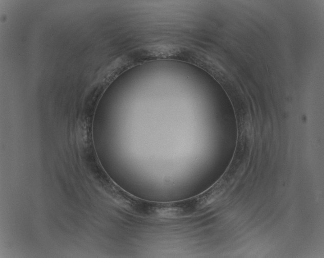 X0000073710268200608171145