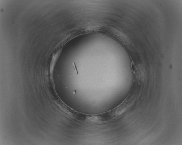 X0000073710269200608171145