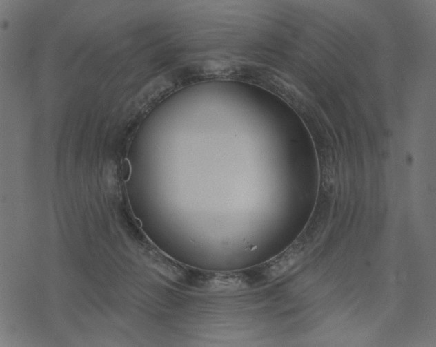 X0000073710270200608171145