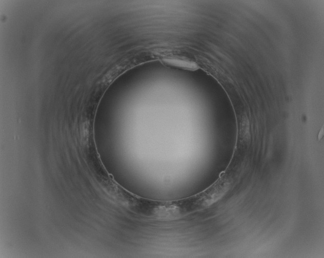 X0000073710271200608171146