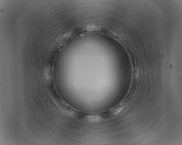 X0000073710272200608171146