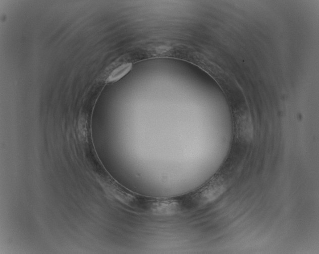 X0000073710274200608171146