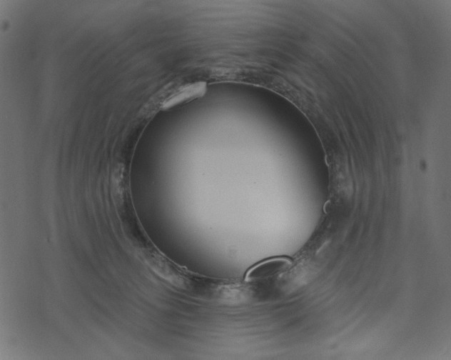 X0000073710275200608171146