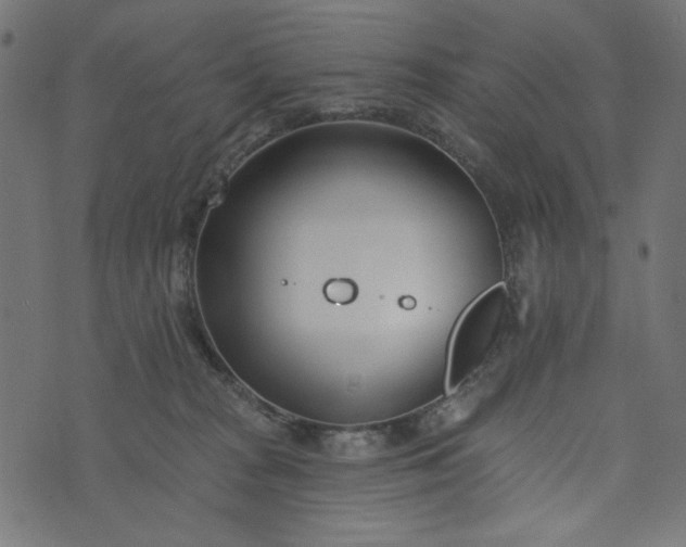 X0000073710277200608171146