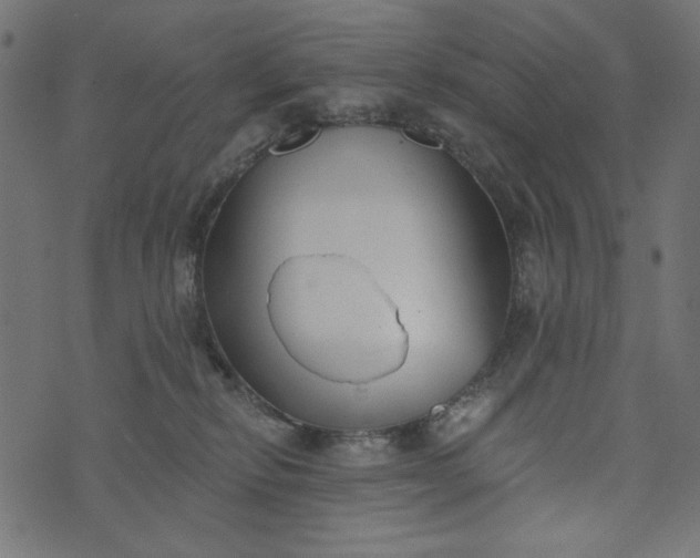 X0000073710278200608171146