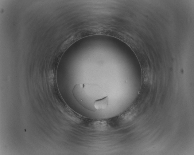 X0000073710279200608171146