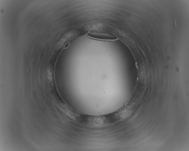 X0000073710282200608171146