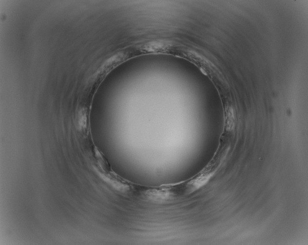 X0000073710284200608171146