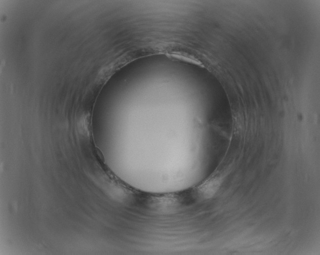 X0000073710286200608171146