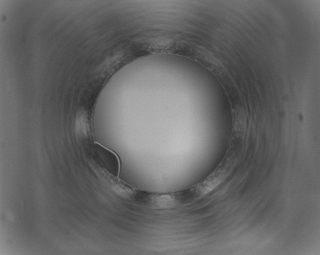 X0000073710287200608171146