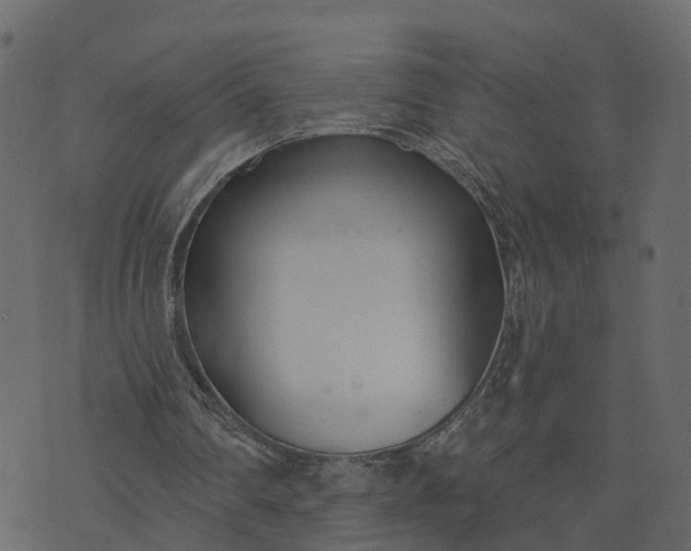 X0000073710290200608171145