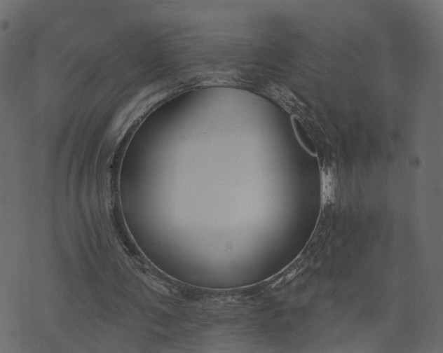 X0000073710291200608171145