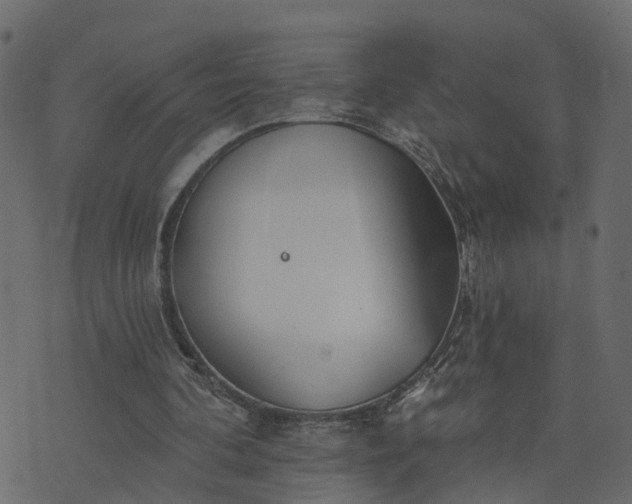 X0000073710292200608171145