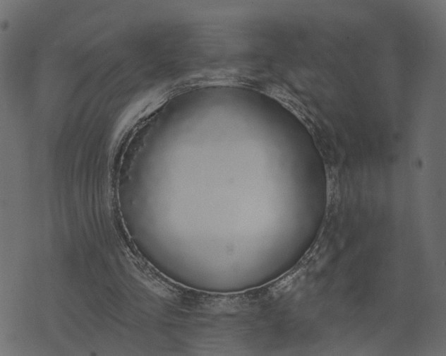 X0000073710293200608171145