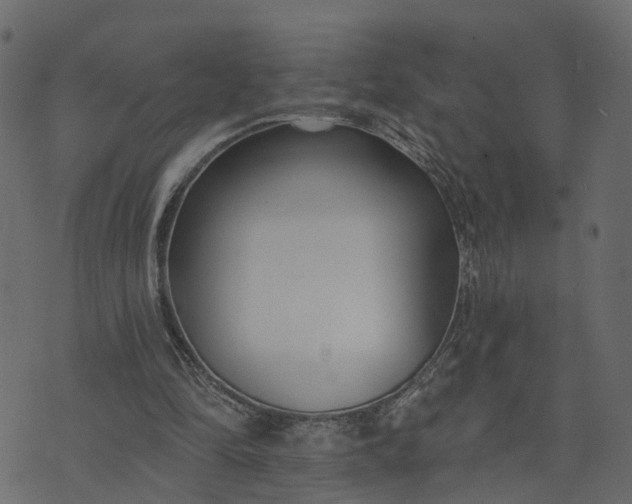 X0000073710294200608171145