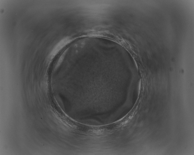 X0000073710295200608171145