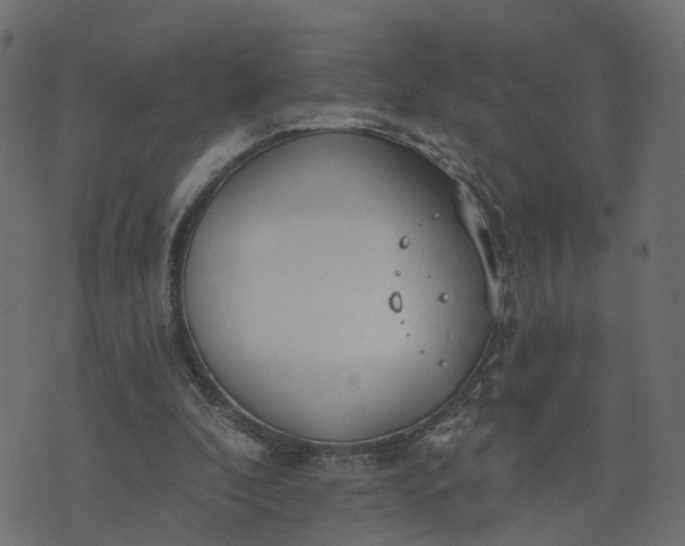 X0000073710296200608171145