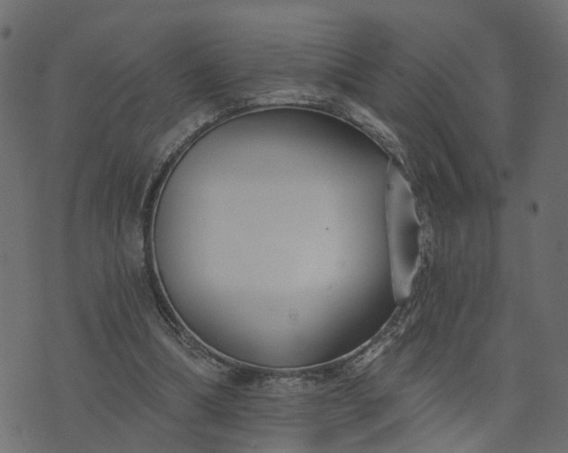 X0000073710298200608171145