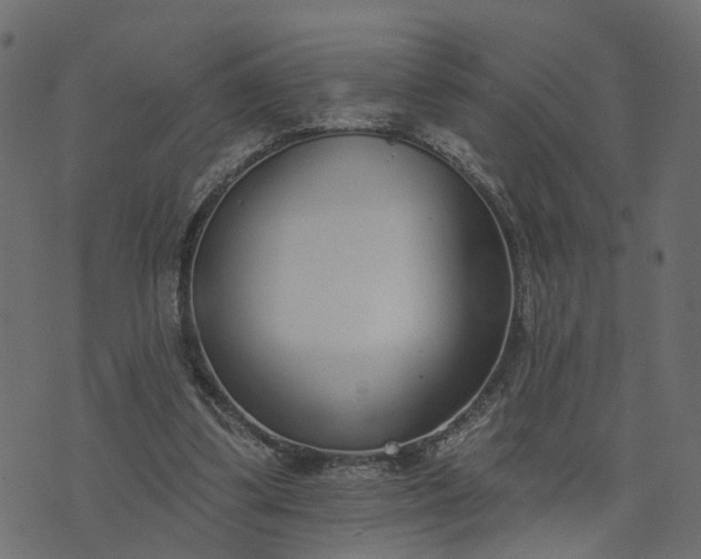 X0000073710299200608171145