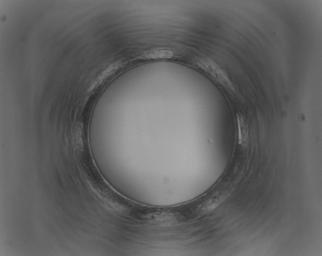 X0000073710300200608171145