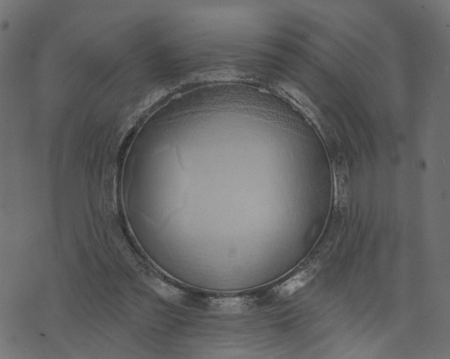 X0000073710301200608171145